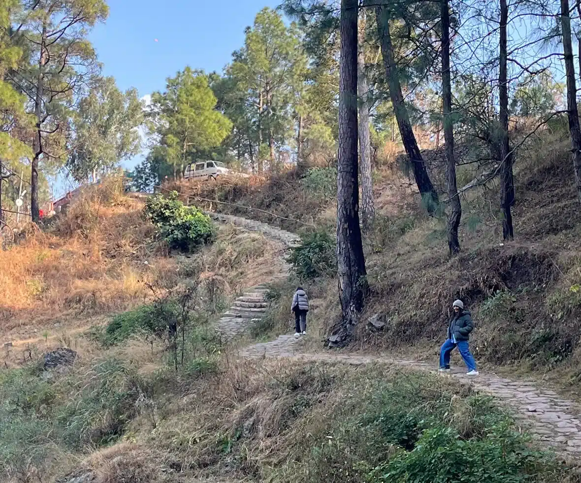 Way to bunker in the hills day