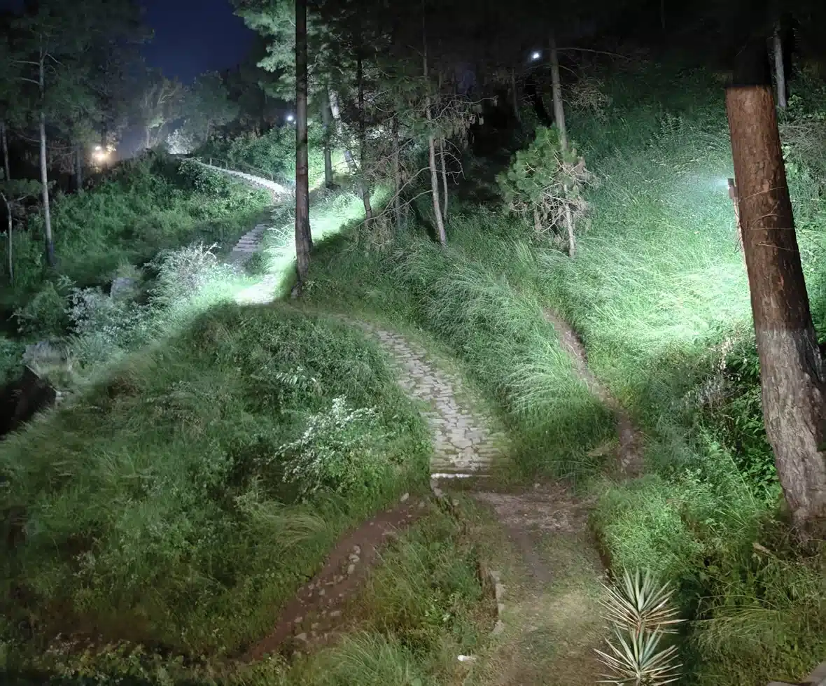 Way to bunker in the hills night-1